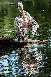 势头正猛！《霍格沃茨之遗》在英销量已超过《艾尔登法环》